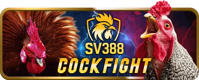 Cược miễn phí và vòng quay miễn phí viet188